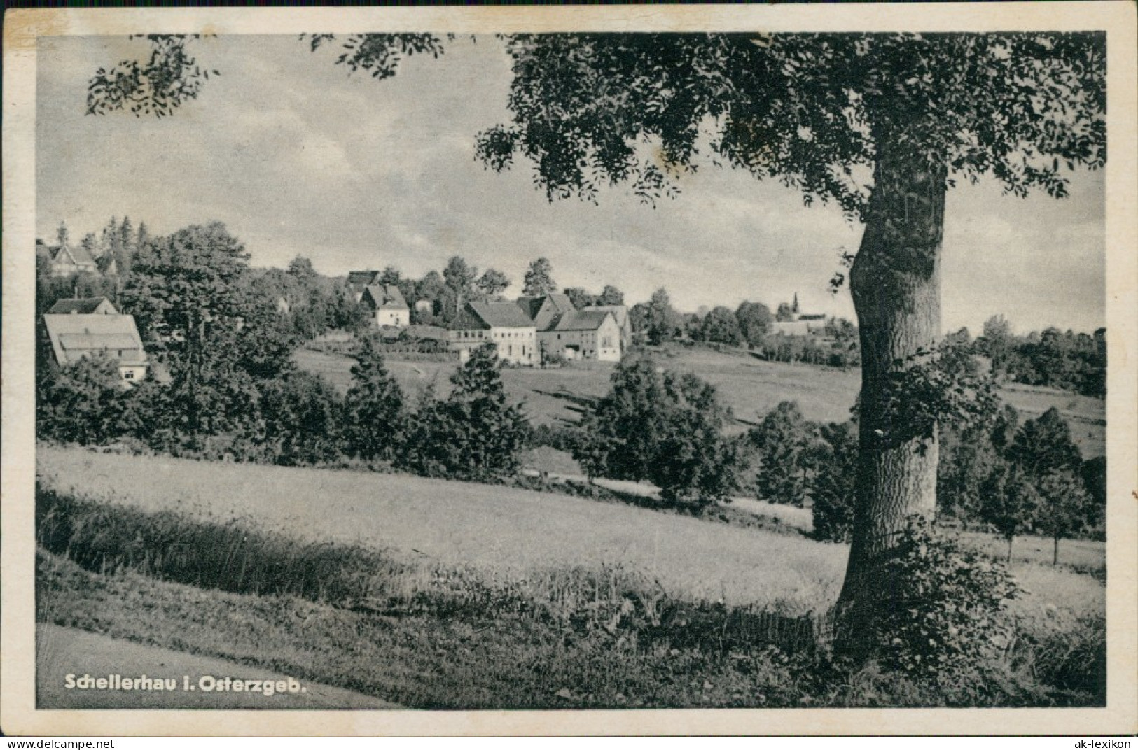 Ansichtskarte Schellerhau-Altenberg (Erzgebirge) Blick Auf Die Stadt 1955  - Schellerhau