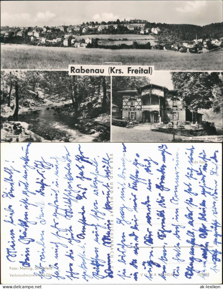 Ansichtskarte Rabenau Panorama, Rabenauer Grund, HOG Rabenauer Mühle 1964 - Rabenau