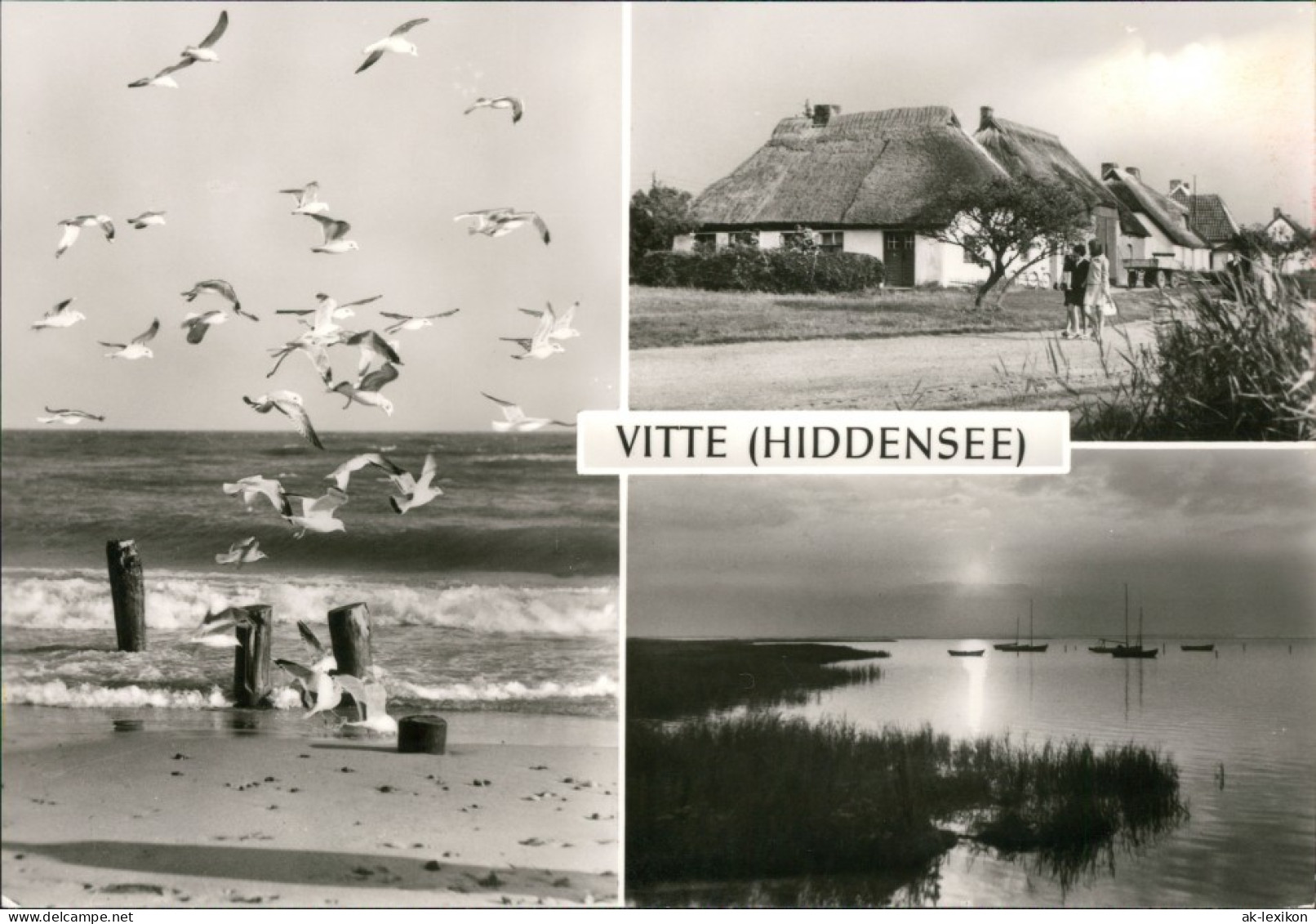 Vitte-Hiddensee Hiddensjö, Hiddensöe Strand, Möwen, Schilfhäuser, Boote 1977 - Hiddensee