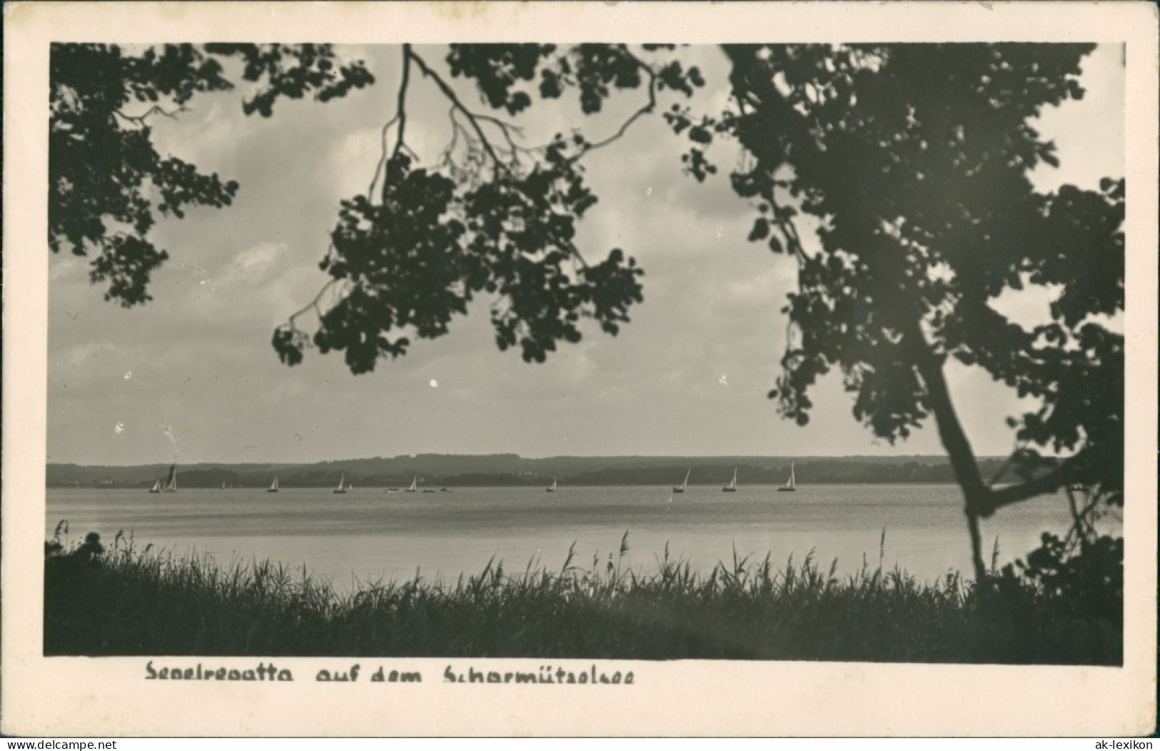Ansichtskarte Pieskow-Bad Saarow Scharmützelsee, Segelregatta 1953 - Bad Saarow