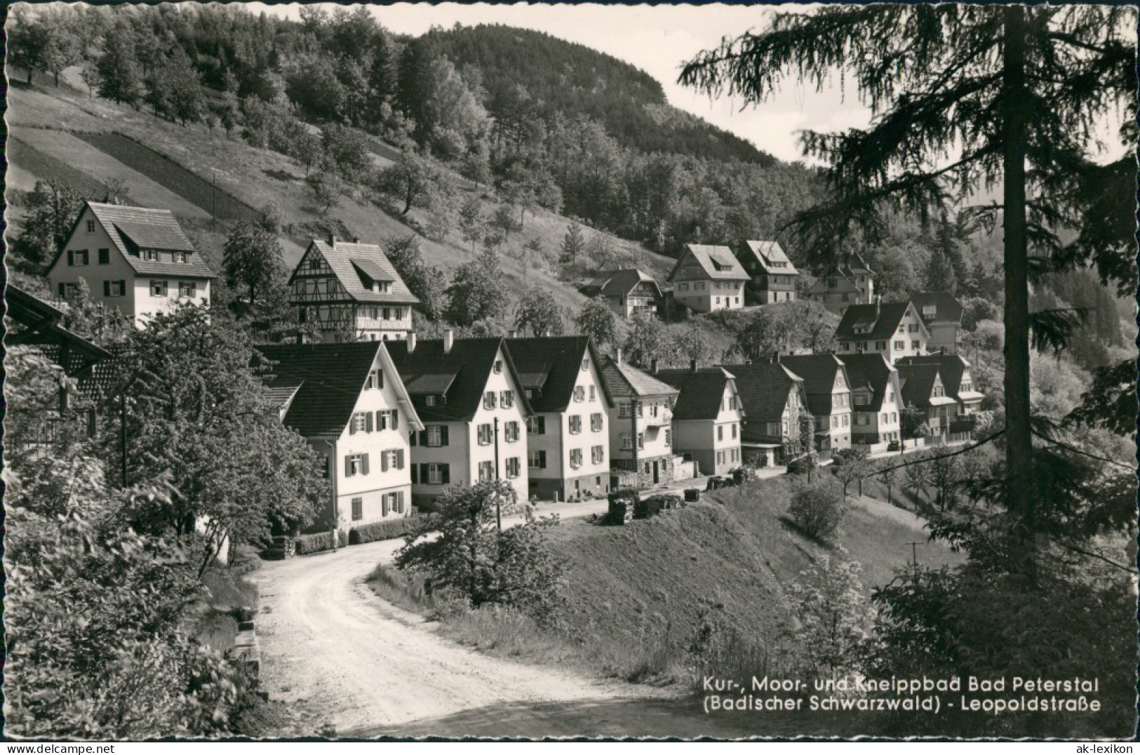 Ansichtskarte Bad Peterstal-Griesbach Leopoldstraße 1963 - Bad Peterstal-Griesbach