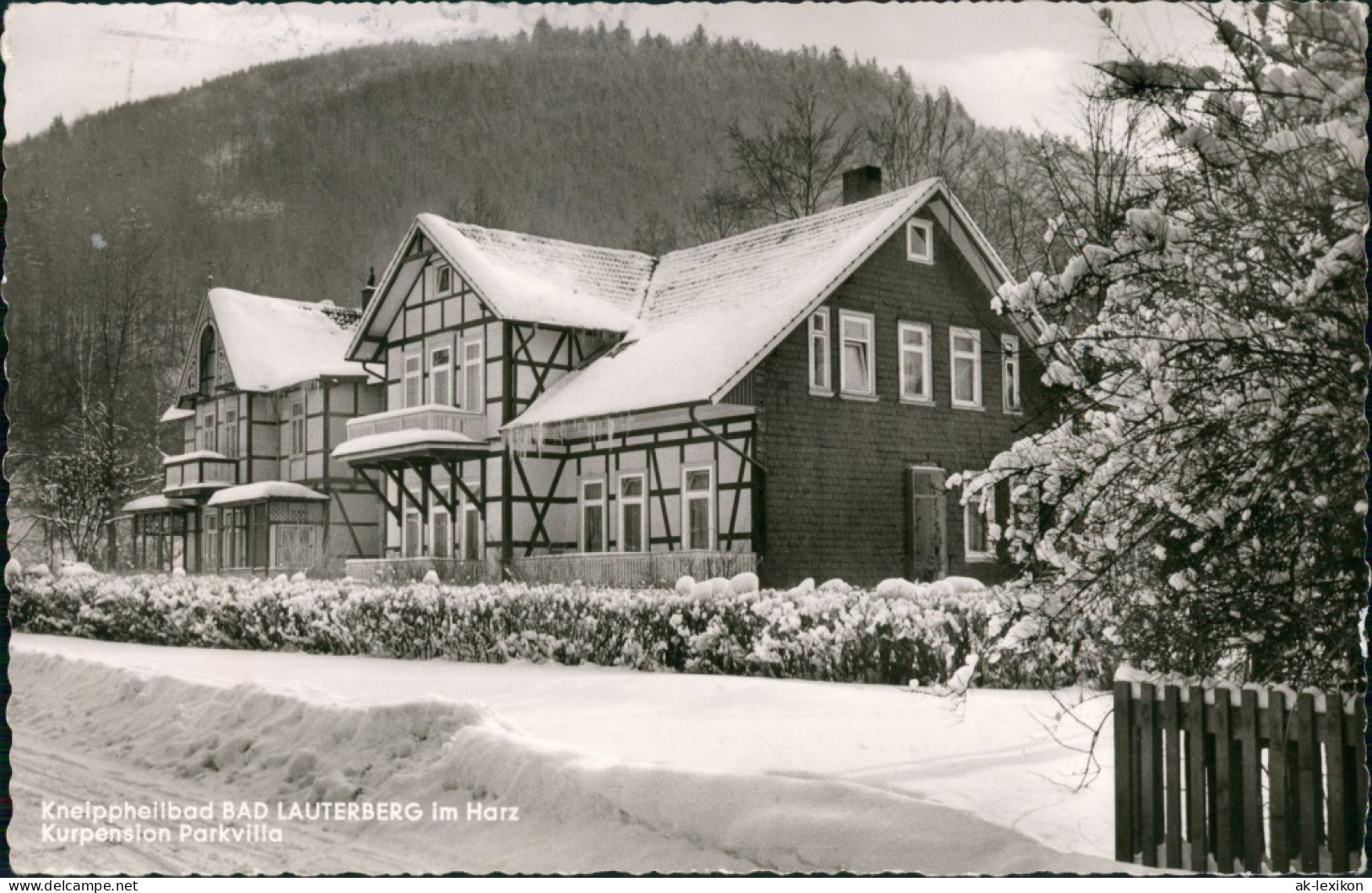 Bad Lauterberg Im Harz Kurpension Unterkunft Pension Parkvilla, Harz 1964 - Bad Lauterberg