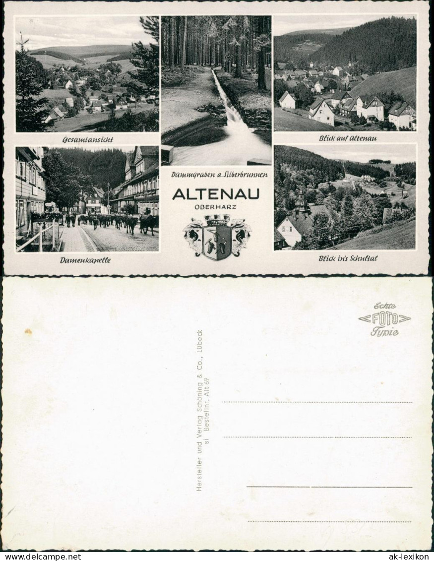 Torfhaus (Harz)-Altenau Umland-Altenau Ua. "Damenkapelle" Kühe Im Dorf 1960 - Altenau