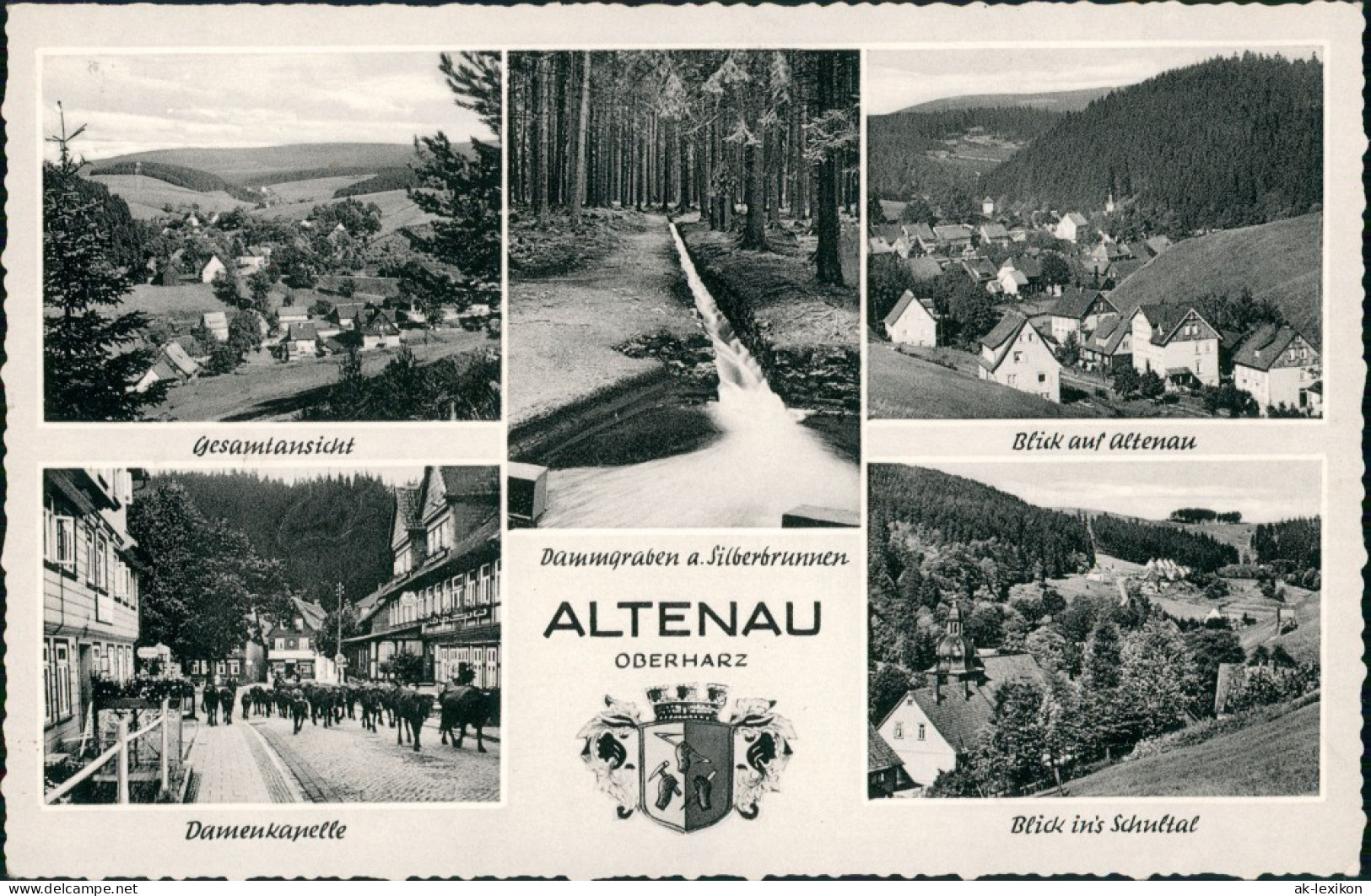 Torfhaus (Harz)-Altenau Umland-Altenau Ua. "Damenkapelle" Kühe Im Dorf 1960 - Altenau