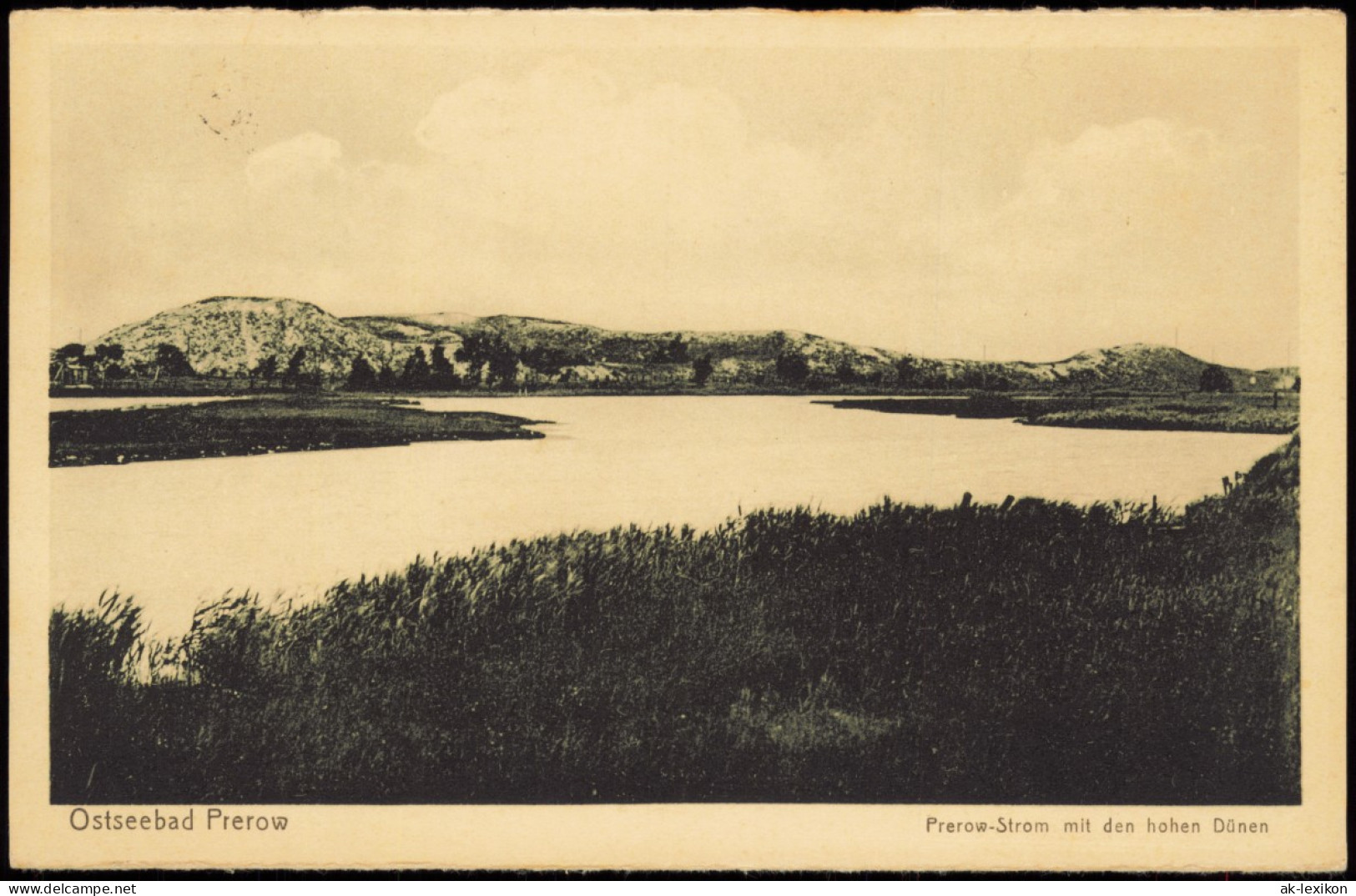 Ansichtskarte Prerow Prerow-Strom Mit Den Hohen Dünen 1931 - Seebad Prerow