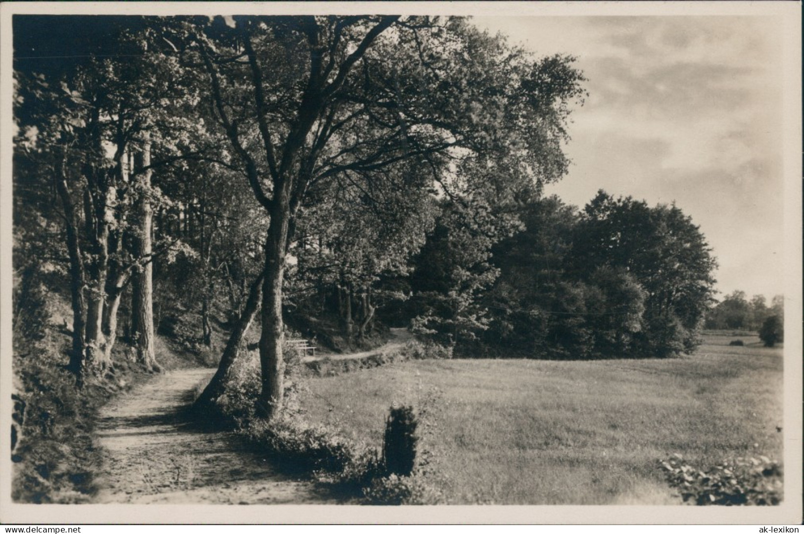 Ansichtskarte Emmingen-Soltau Weg Im Böhmewald 1932  - Soltau