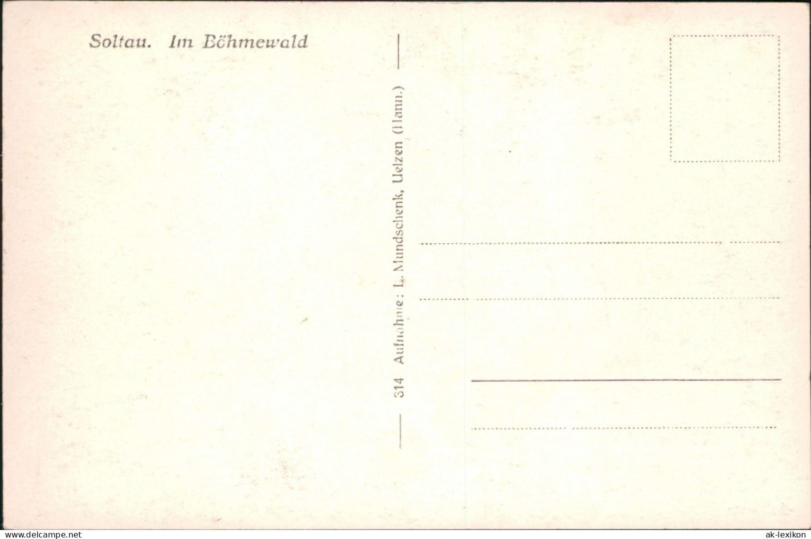 Ansichtskarte Emmingen-Soltau Weg Im Böhmewald 1932  - Soltau