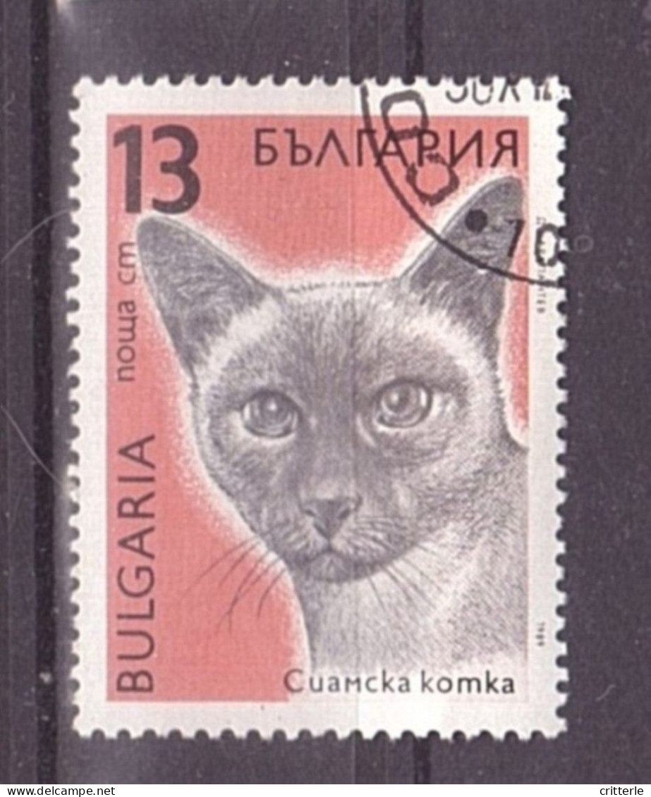 Bulgarien Michel Nr. 3813 Gestempelt (1,2,3,4) - Oblitérés