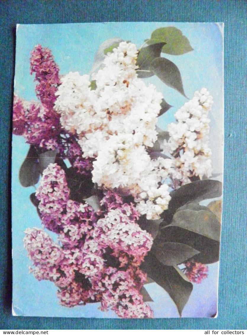 Post Card Postal Stamped Stationery Ussr 1970 Flowers Flora - 1970-79