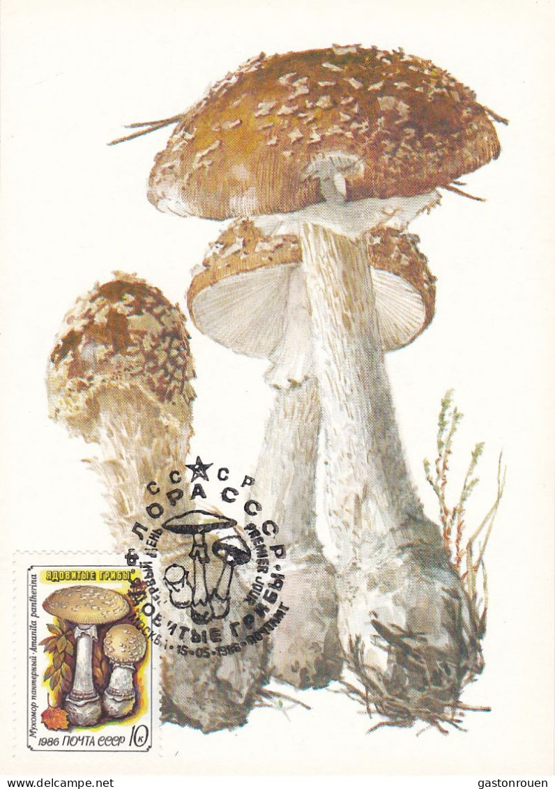 Carte Maximum URSS Russie Russia Champignon Mushroom 5306 - Maximumkaarten