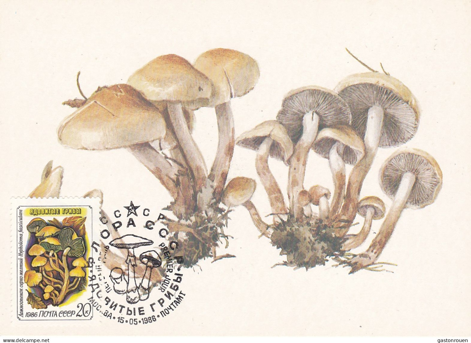 Carte Maximum URSS Russie Russia Champignon Mushroom 5308 - Maximumkarten