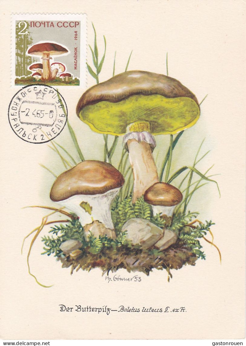 Carte Maximum URSS Russie Russia Champignon Mushroom 2880 - Cartes Maximum