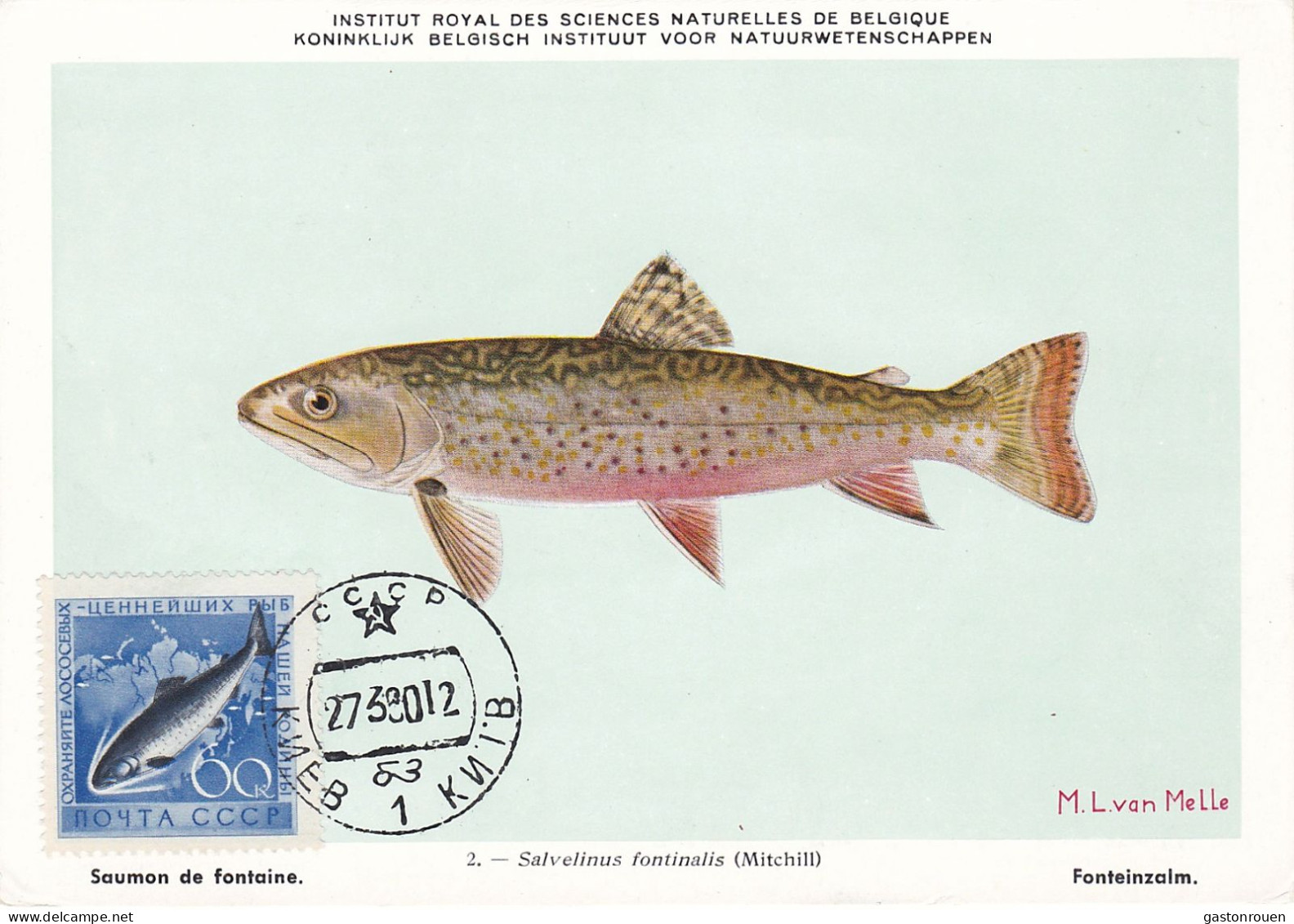 Carte Maximum URSS Russie Russia Poisson Fish Saumon Salmon 2186 - Tarjetas Máxima