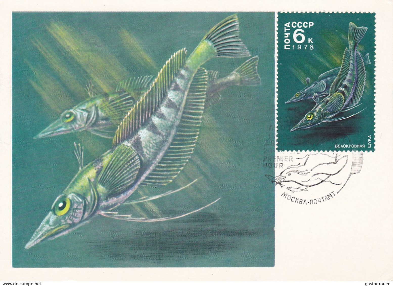 Carte Maximum URSS Russie Russia Poisson Fish Esturgeon Sturgeon - Maximum Cards