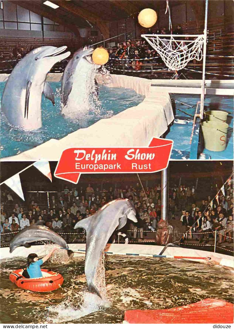 Animaux - Rust Baden - Europa Park - Freizeit Und Familienpark - Florida Delphin-Show - Multivues - Spectacle De Dauphin - Dauphins