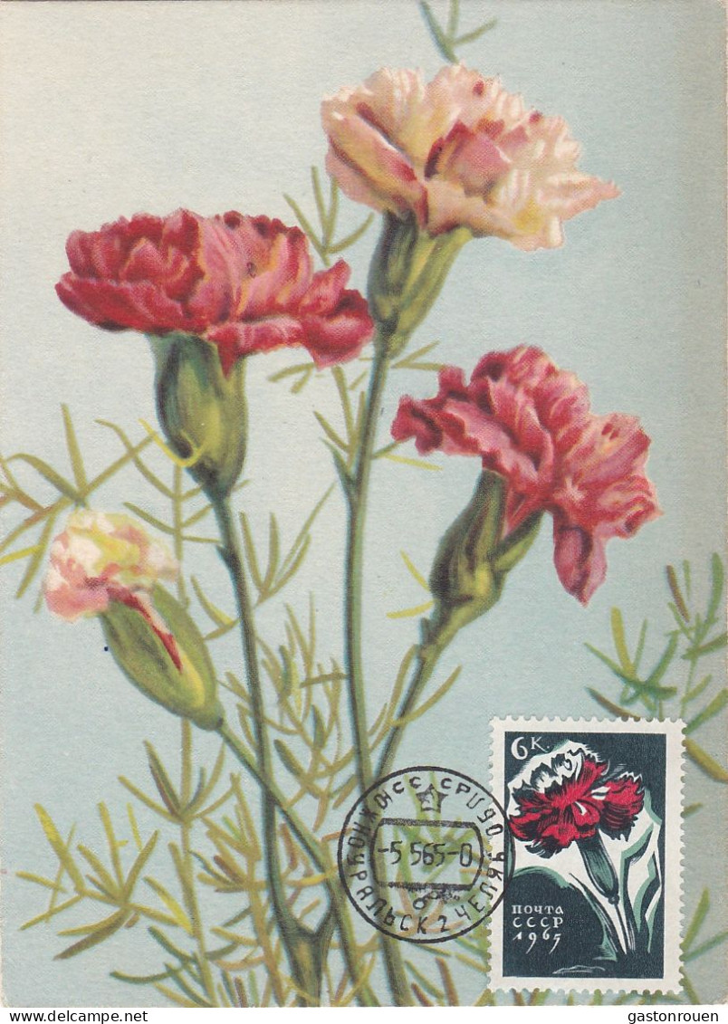 Carte Maximum URSS Russie Russia Fleur Flower œillet Carnation  2958 - Cartes Maximum