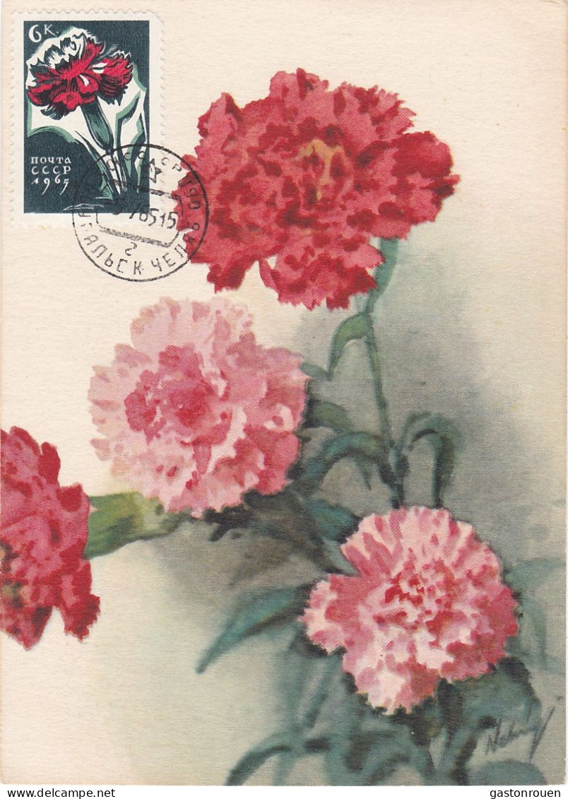 Carte Maximum URSS Russie Russia Fleur Flower œillet Carnation  2958 - Cartes Maximum