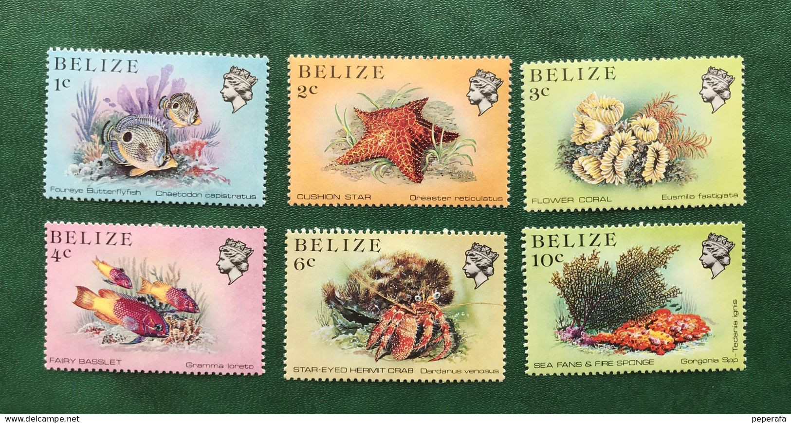 BELIZE BELICE, FAUNA Y FLORA MARINA Lote 1 - Belice (1973-...)