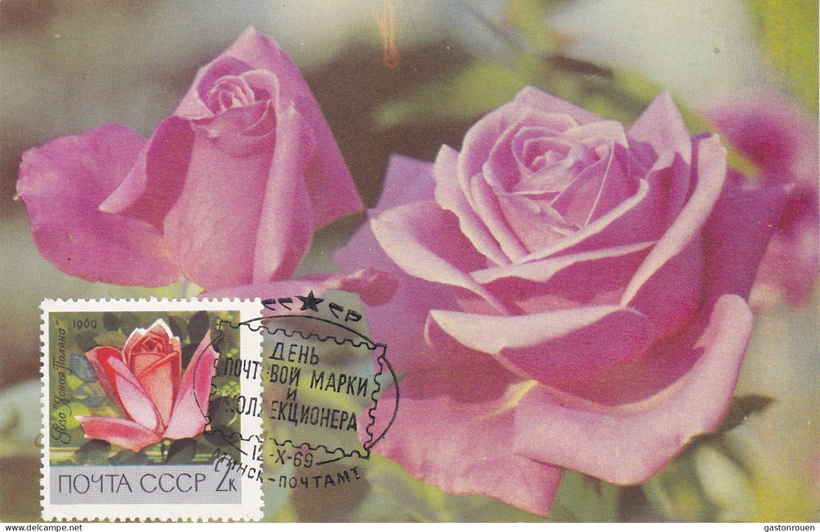 Carte Maximum URSS Russie Russia Fleur Flower Rose 3487 - Maximumkarten