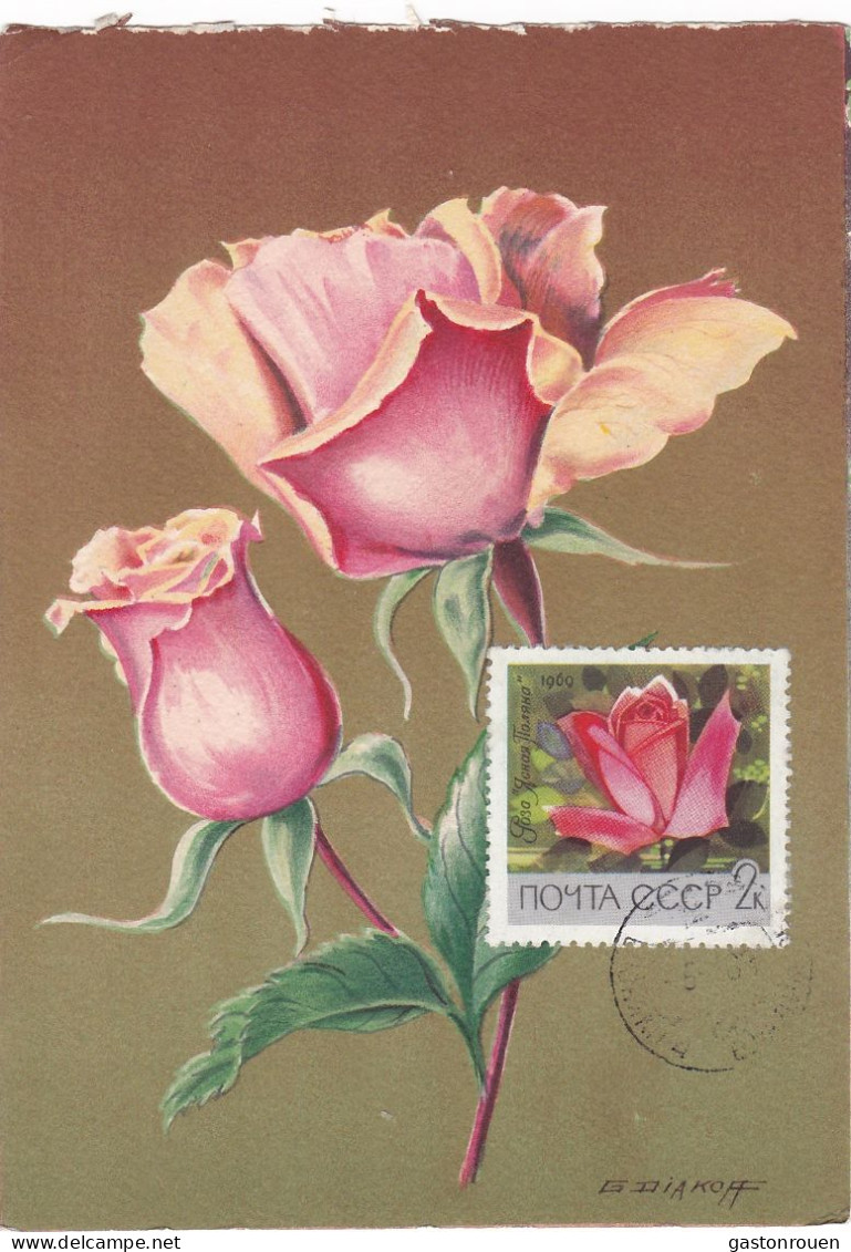 Carte Maximum URSS Russie Russia Fleur Flower Rose 3487 - Cartes Maximum