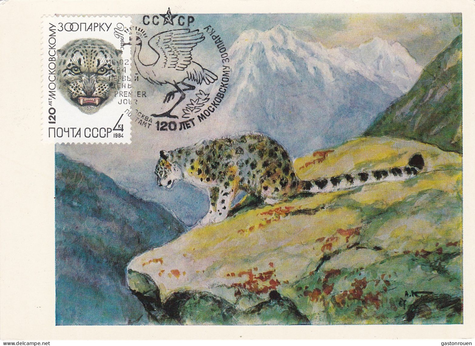 Carte Maximum URSS Russie Russia Félin Feline Léopard Des Neiges Snow Leopard 5077 - Cartes Maximum