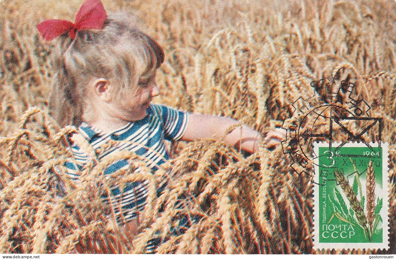 Carte Maximum URSS Russie Russia  2837 Blé Wheat - Maximumkaarten