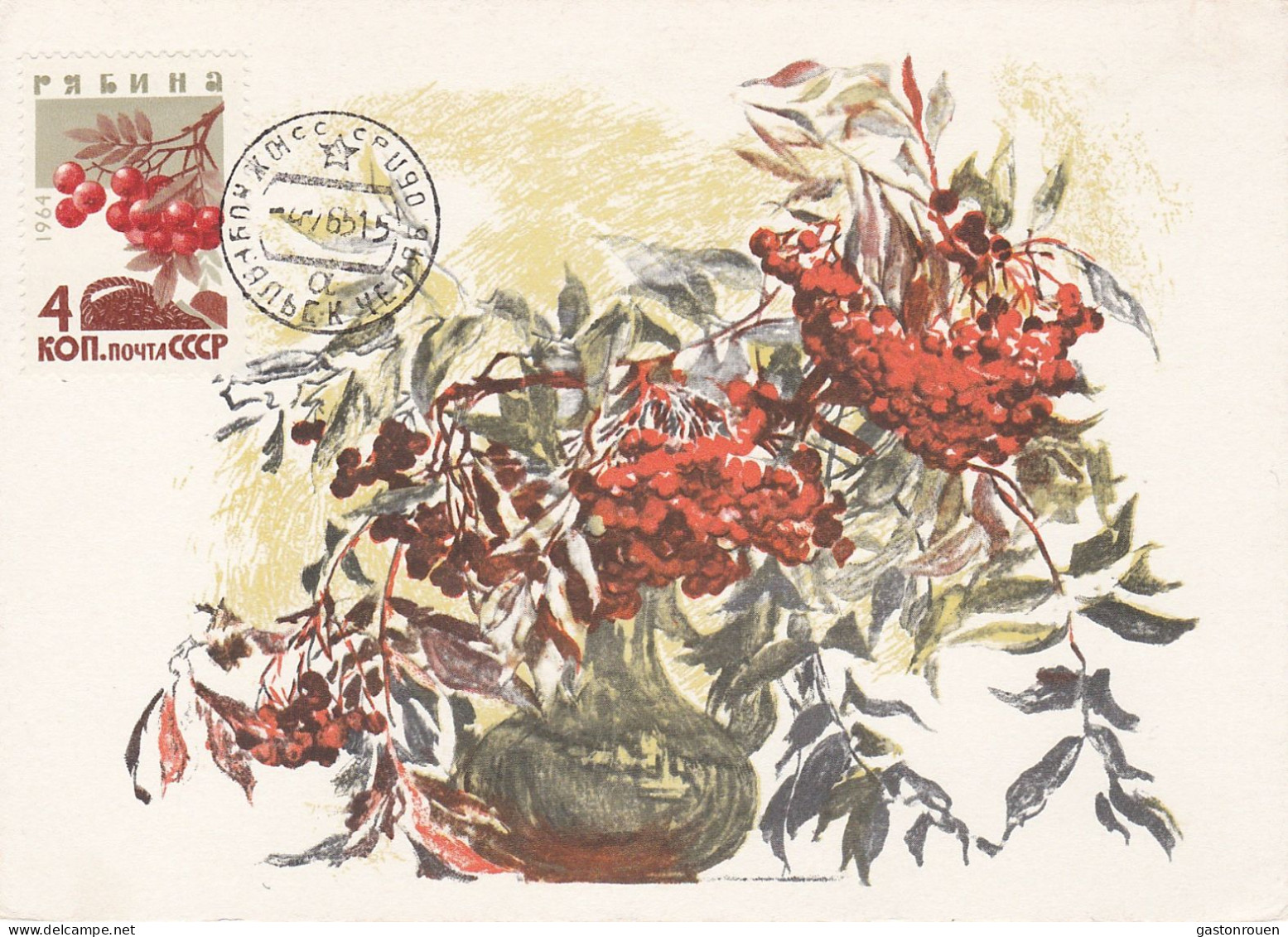 Carte Maximum URSS Russie Russia  2894 Sorbier Sorbus Rowan - Cartoline Maximum