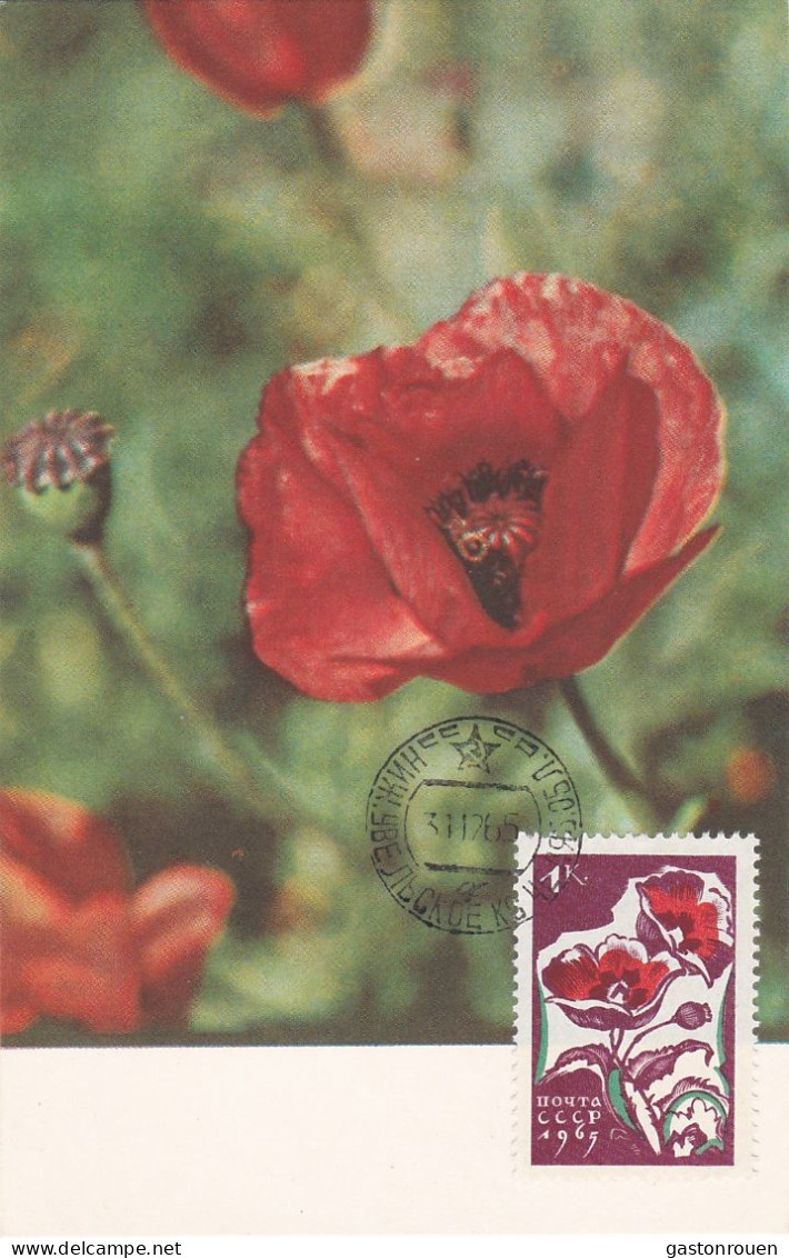 Carte Maximum URSS Russie Russia  Fleur Flower Coquelicot Poppy 2955 - Maximumkarten