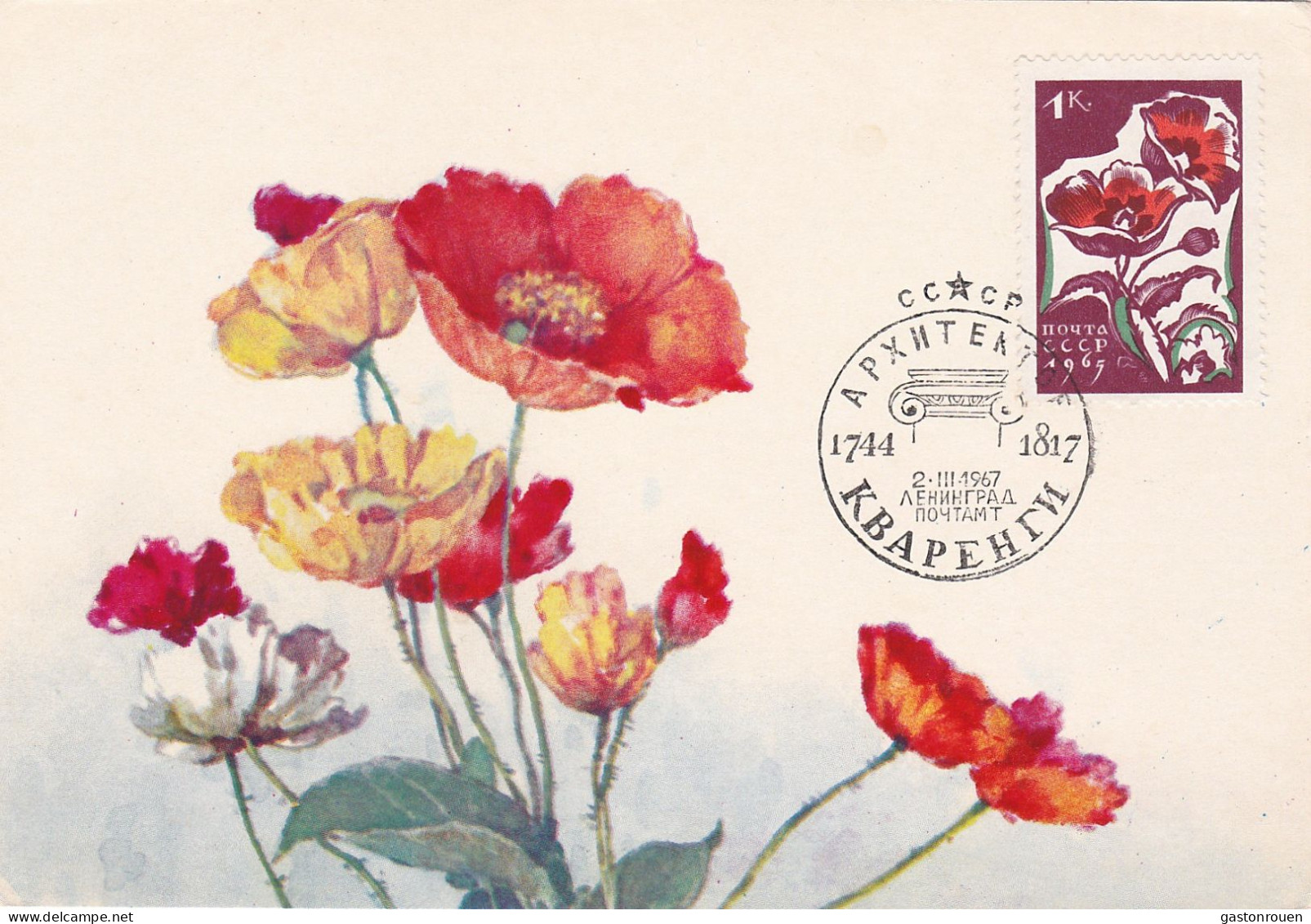 Carte Maximum URSS Russie Russia  Fleur Flower Coquelicot Poppy 2955 - Cartoline Maximum