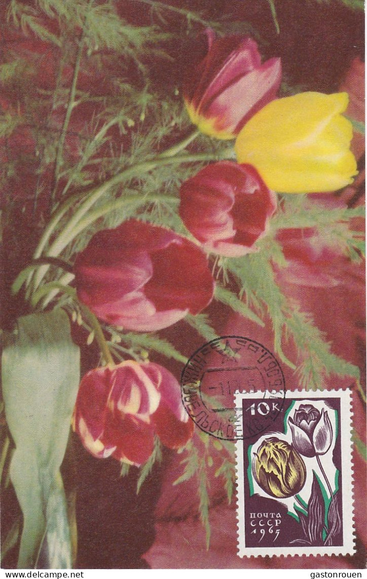 Carte Maximum URSS Russie Russia  Fleur Flower Tulipe Tulip 2959 - Maximumkarten