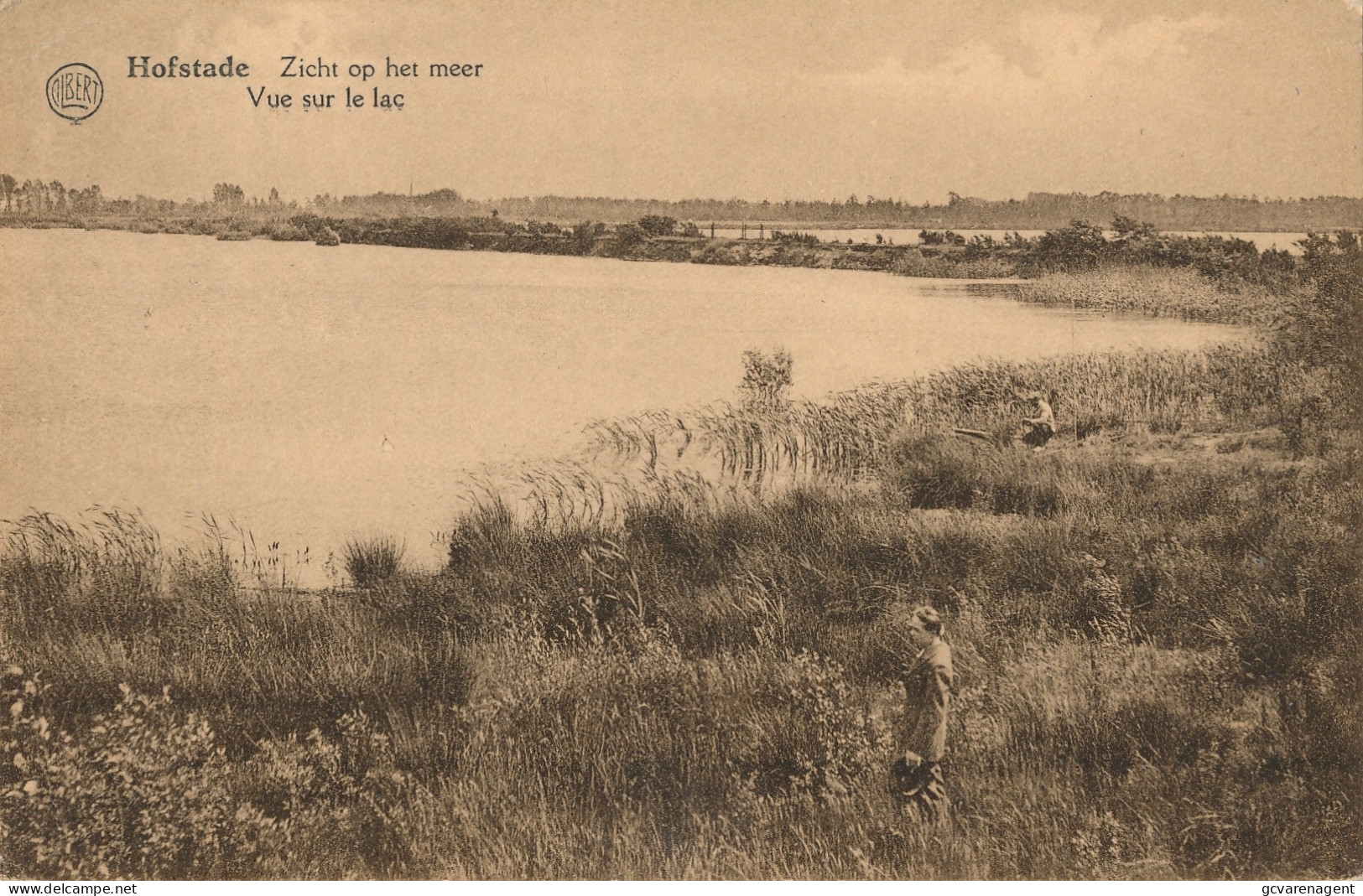 HOFSTADE  ZICHT OP HET MEER                2 SCANS - Zemst