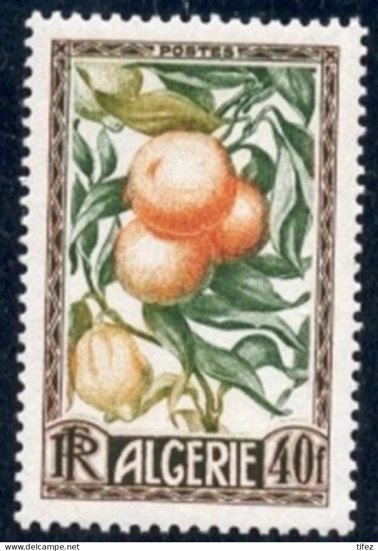 Année 1950-N°281 Neuf**MNH : Production Algérienne : Oranges/Citrons - Neufs