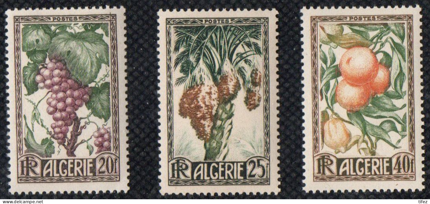 Année 1950-N°279/281 Neufs**MNH : Production Algérienne : Raisin/Dattes/ Oranges-Citrons - Neufs