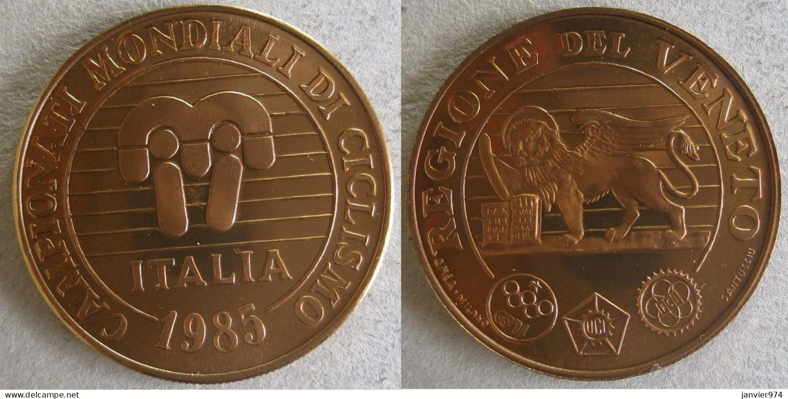 Médaille En Bronze Dorée , Championnat De Cyclisme 1985 Vénétie /Veneto - Autres & Non Classés