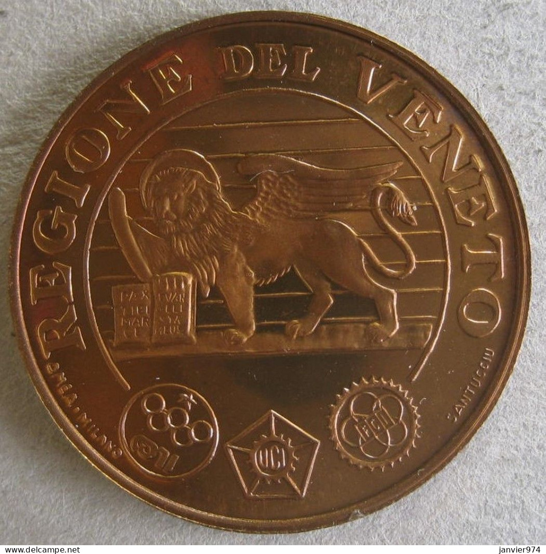 Médaille En Bronze Dorée , Championnat De Cyclisme 1985 Vénétie /Veneto - Andere & Zonder Classificatie