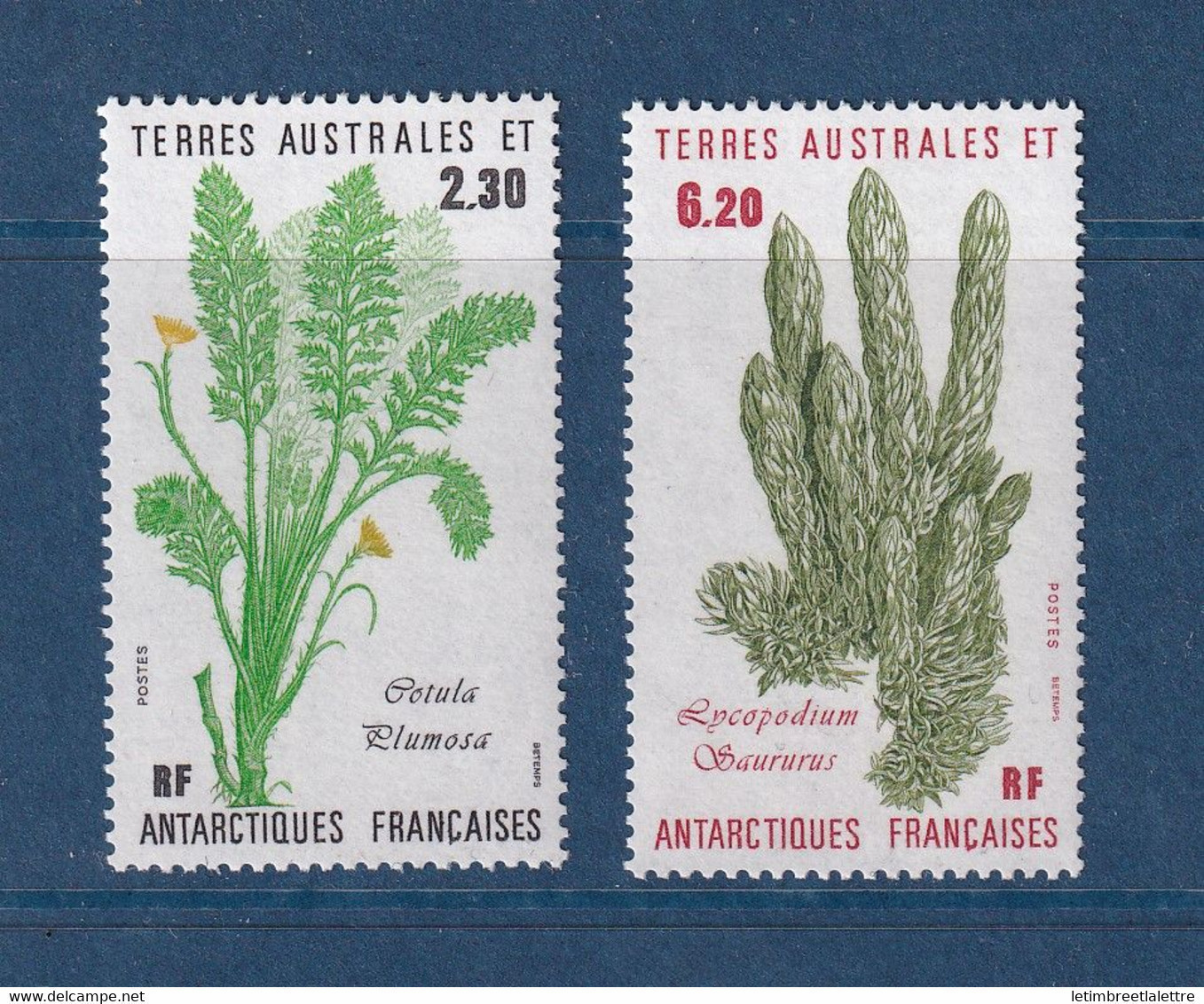 TAAF - YT N° 118 Et 119 ** - Neuf Sans Charnière - 1986 - Unused Stamps