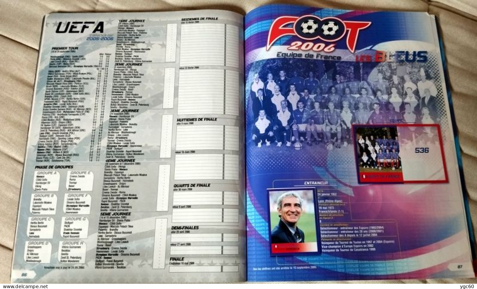 PANINI - ALBUM FOOT 2006 " 30 ANS " AVEC 430 STICKERS DÉJÀ COLLÉS SUR 550