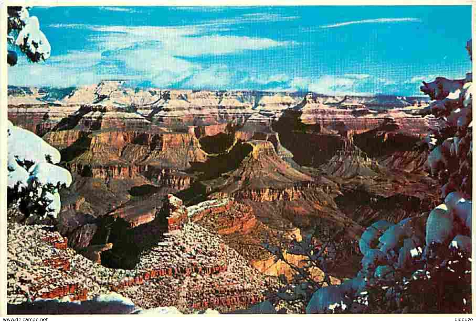 Etats Unis - Grand Canyon - Grand Canyon National Park - CPM - Voir Scans Recto-Verso - Gran Cañon