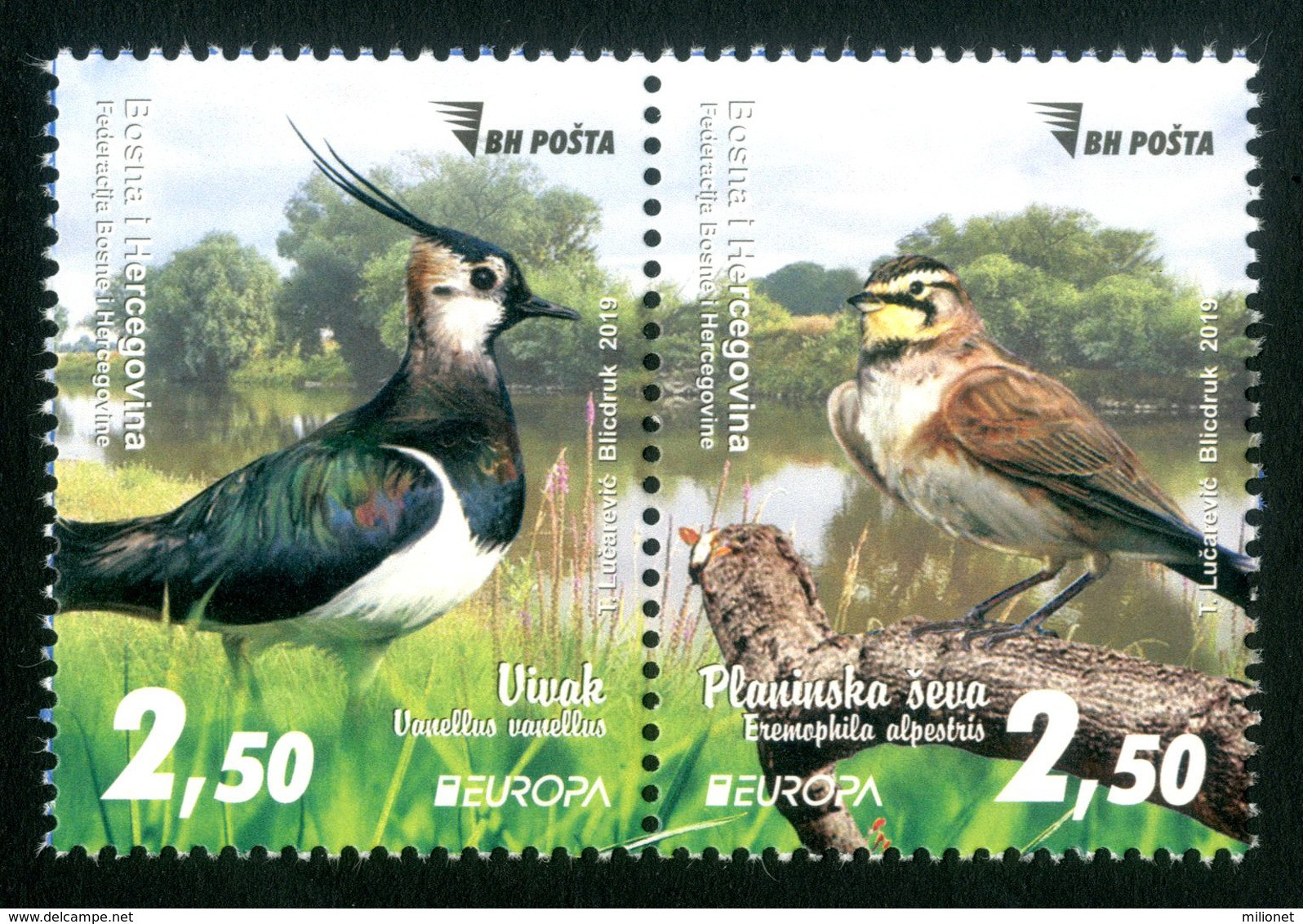 SALE!!! BOSNIA HERZEGOVINA MAIN POST (SARAJEVO) 2019 EUROPA CEPT National Birds 2 Stamps Se-tenant MNH ** - 2019