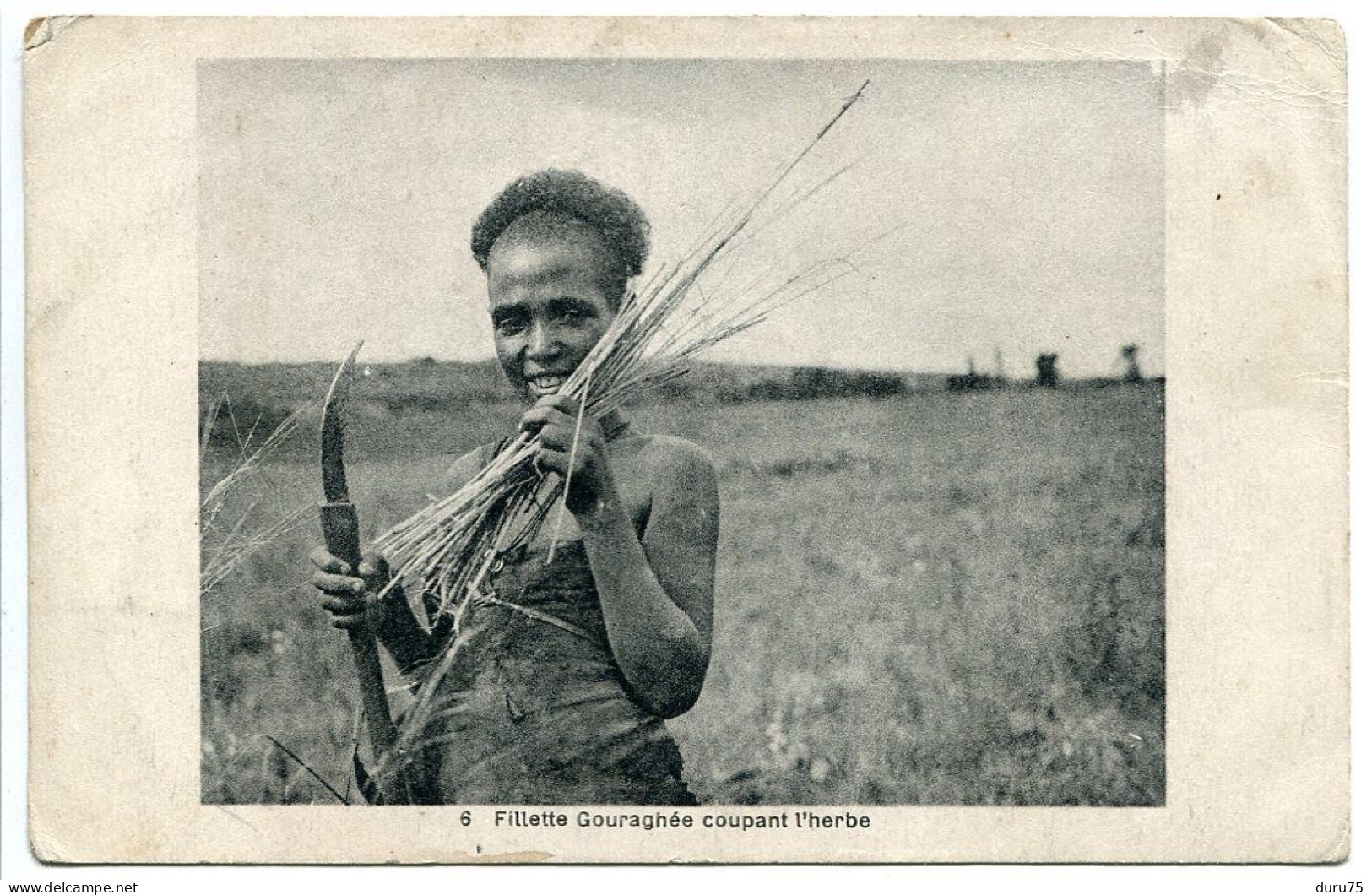 AFRIQUE ETHIOPIE CPA Non écrite * Fillette Gouraghée Coupant L'herbe - Ethiopia