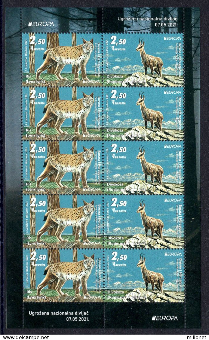 BOSNIA HERZEGOVINA MAIN POST (SARAJEVO) 2021 EUROPA Endangered National Wildlife Sheetlet Of 10 Stamps (5 Sets) MNH ** - 2021