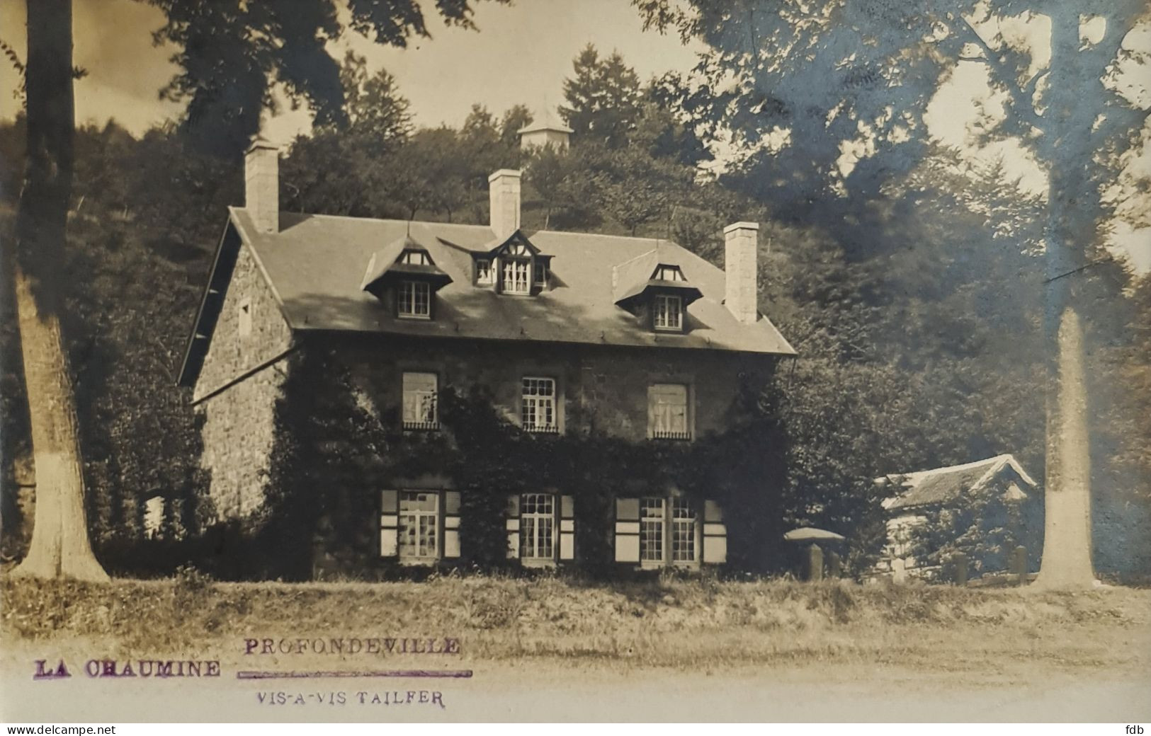 Profondeville - La Chaumine - Vis à  Vis Tailfer (Lustin) - Photocarte - Profondeville