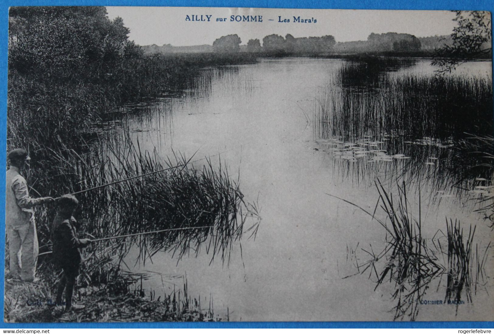 Cpa D Ailly Sur Somme Les Marais - Ailly Sur Noye