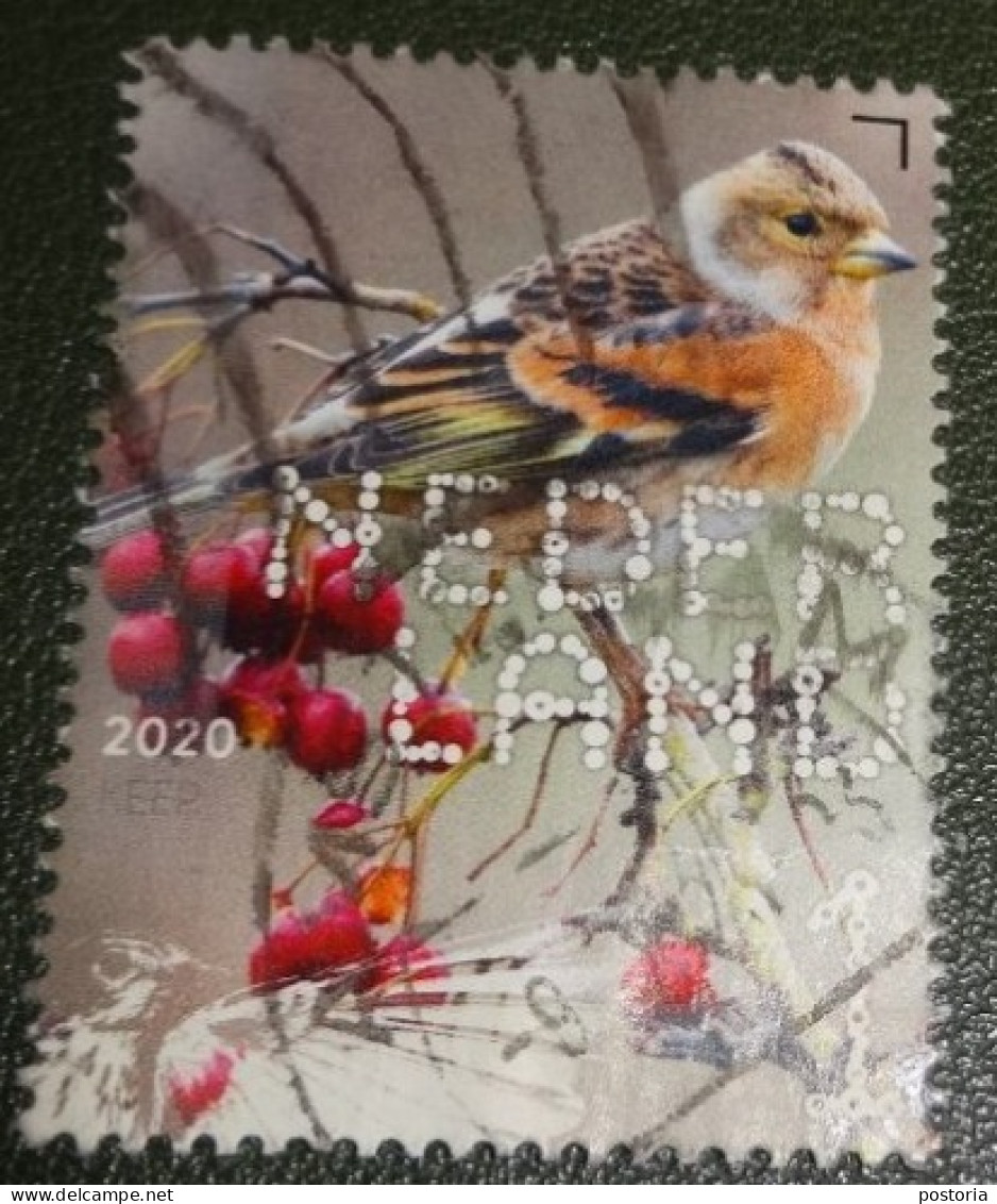 Nederland - NVPH - Xxxx - 2020 - Gebruikt - Used - Beleef De Natuur - Keep - Used Stamps