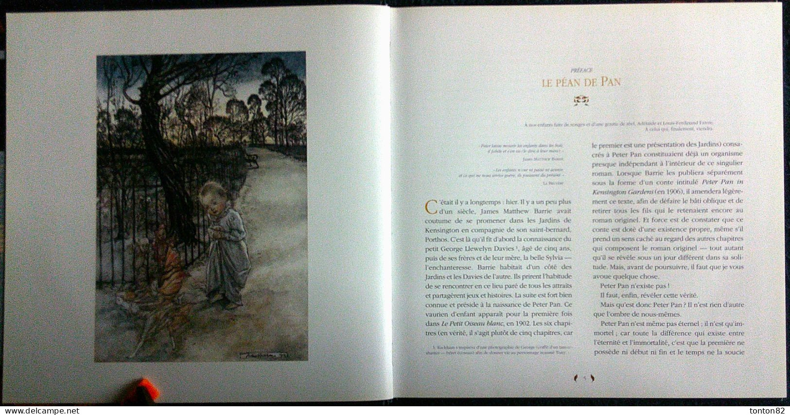 James Matthew / Arthur Rackham - PETER PAN Dans Les Jardins De Kensington - Édition Terre De Brume - ( 2010 ) . - Autres & Non Classés