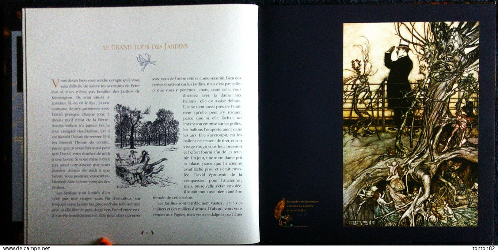 James Matthew / Arthur Rackham - PETER PAN Dans Les Jardins De Kensington - Édition Terre De Brume - ( 2010 ) . - Autres & Non Classés