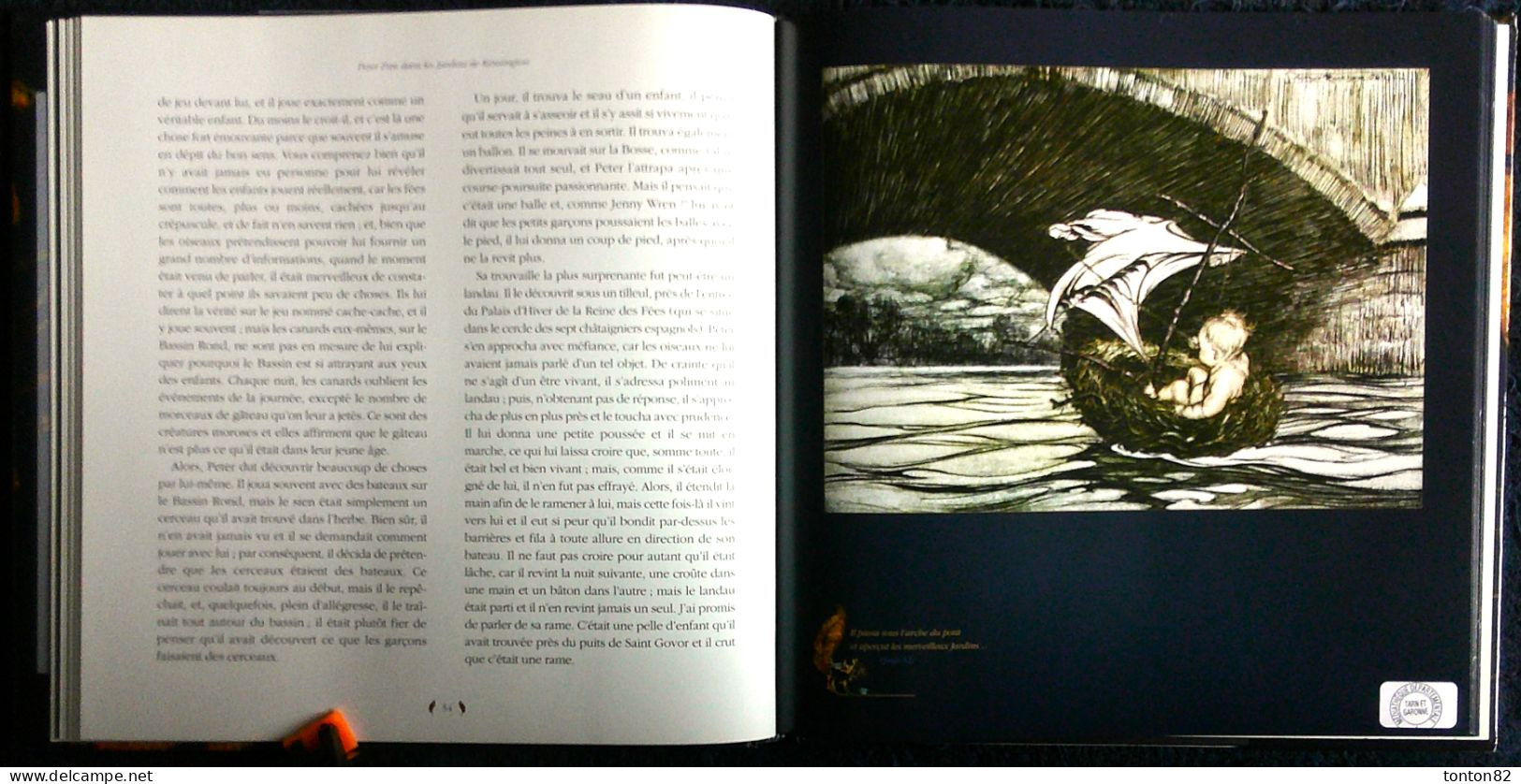 James Matthew / Arthur Rackham - PETER PAN dans les Jardins de Kensington - Édition Terre de Brume - ( 2010 ) .