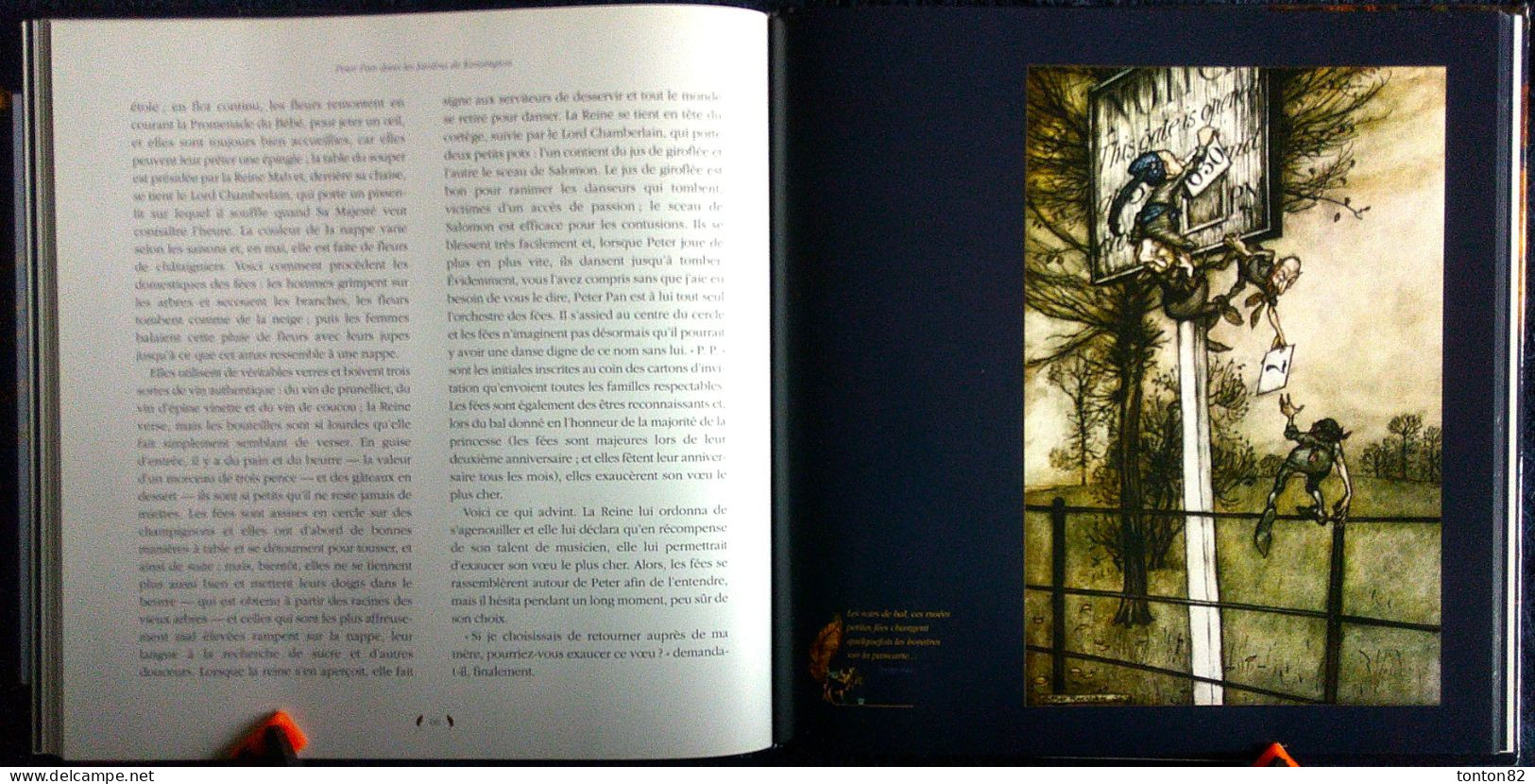 James Matthew / Arthur Rackham - PETER PAN dans les Jardins de Kensington - Édition Terre de Brume - ( 2010 ) .