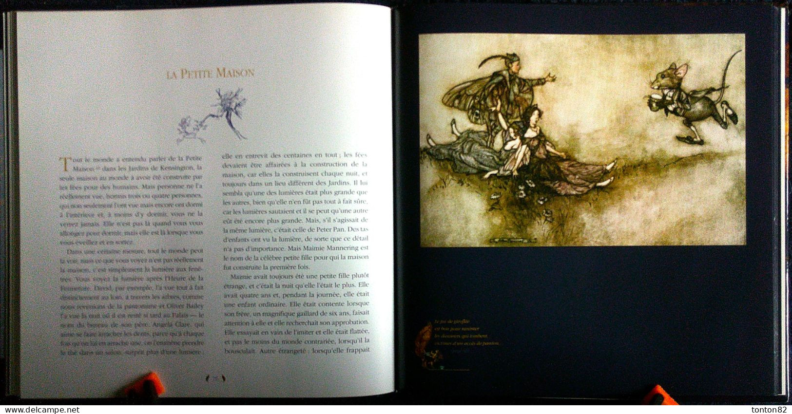 James Matthew / Arthur Rackham - PETER PAN dans les Jardins de Kensington - Édition Terre de Brume - ( 2010 ) .