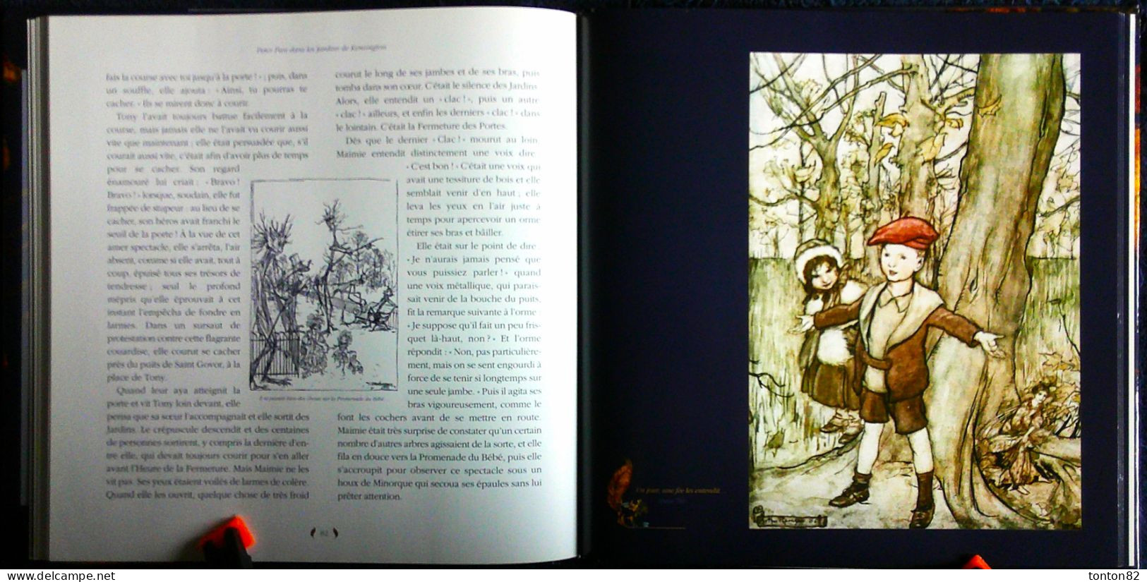 James Matthew / Arthur Rackham - PETER PAN dans les Jardins de Kensington - Édition Terre de Brume - ( 2010 ) .